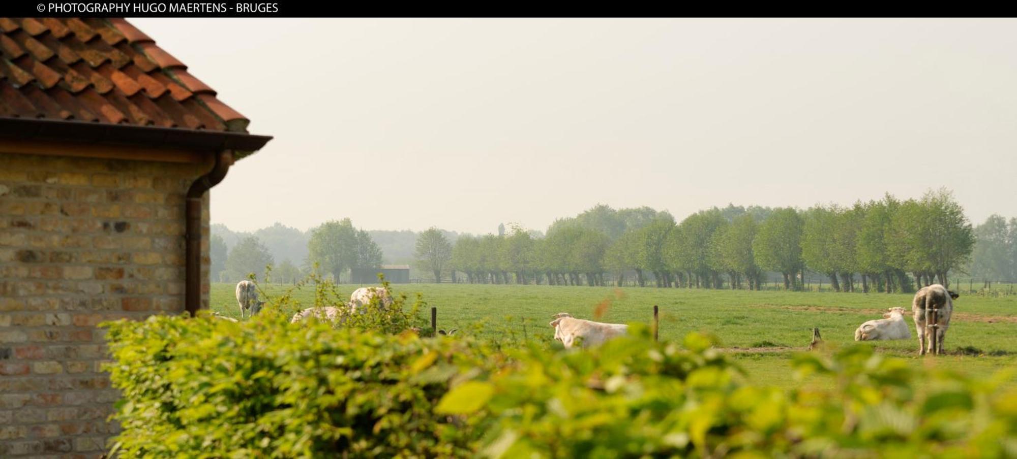 Domein Het Weiland Damme Exterior photo
